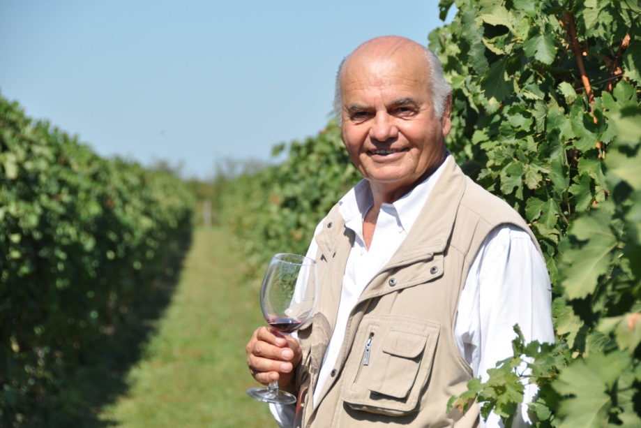 Vinarija Zvonko Bogdan 11